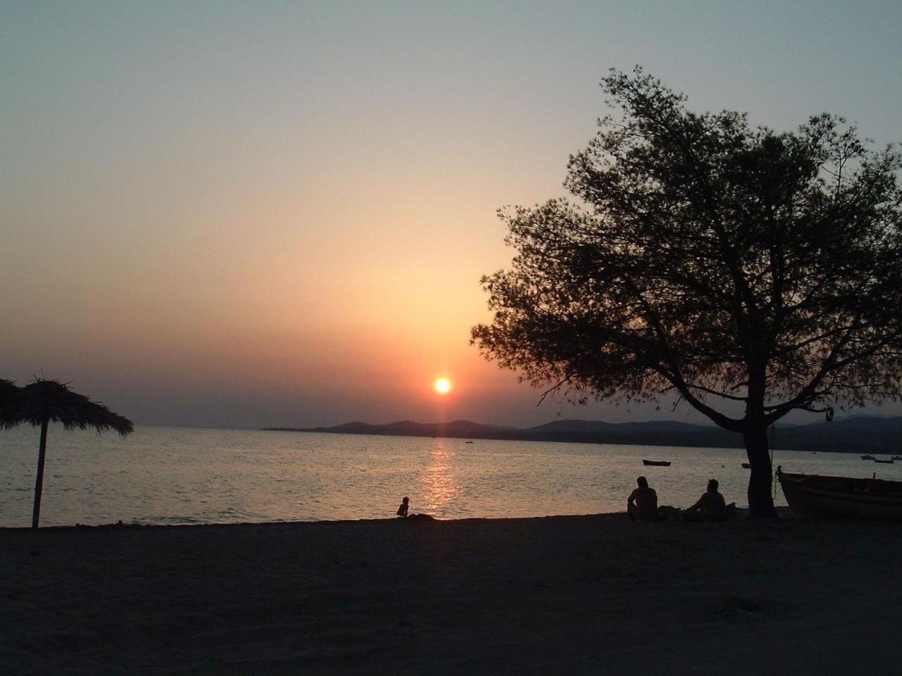 Finikas Garden Beach Resort Nikiti Nikiti (Sithonia) Exterior foto